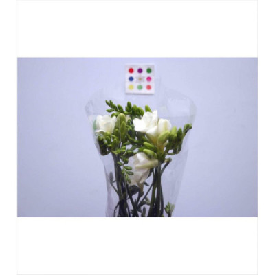 FRESIA NACIONAL BLANCA